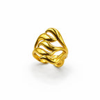 Anello Fire